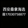 探秘西安桑拿洗浴品茶工作室休闲会所一站式吃喝玩乐的度假体验